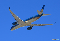 「あおいそら」 Vietnam A350-941 VN-A896 飛行