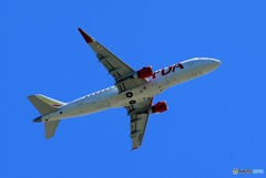 「青い空」が一番 FDA エンブラエル ERJ-175飛ぶ　