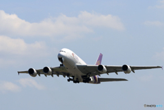 「あおいそら」 THAI A380-841 HS-TUF 離陸します