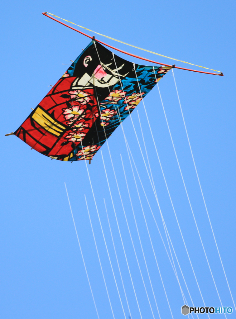 ☀「青い空」が一番    『伝統和凧」5