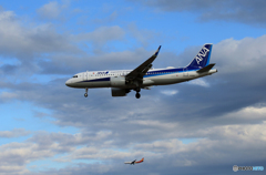 「空色」ANA A320-271 JA212A 着陸