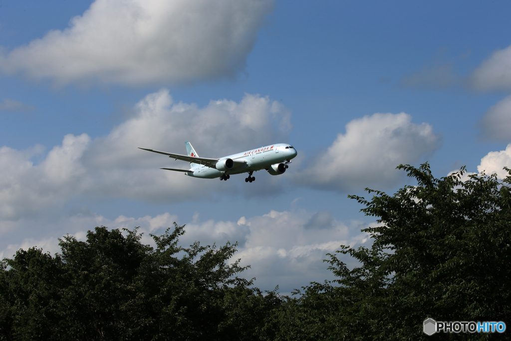  「晴れ」 Air Canada 787-9 C-FRSE  到着です