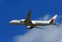 「青が好き」 ☮JAL B787-9 JA870J✈出発です