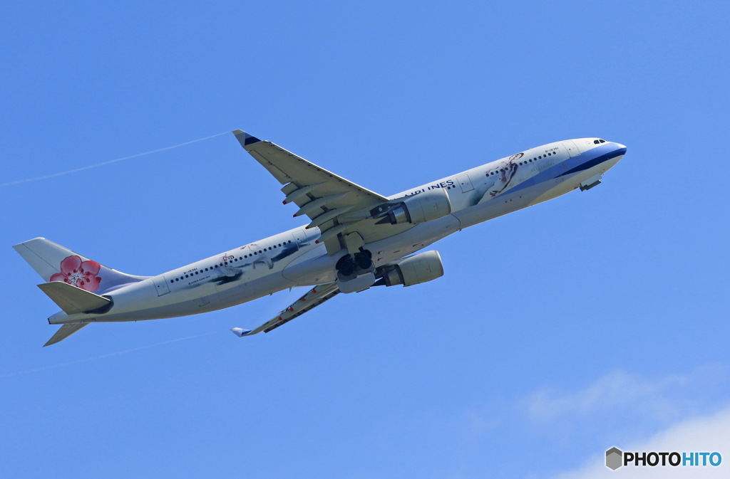 「青が好き」China A330-300 特別塗装 Takeoff 