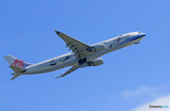 「青が好き」China A330-300 特別塗装 Takeoff 