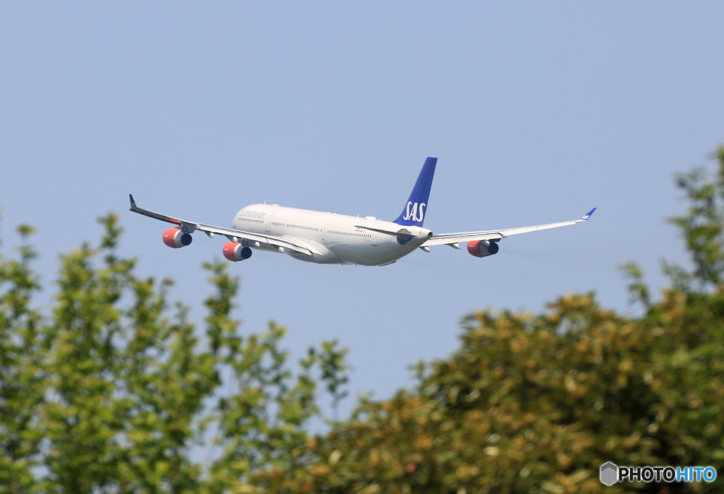 「青い空」が一番 SAS A340-313 離陸します