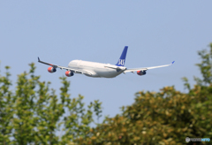 「青い空」が一番 SAS A340-313 離陸します