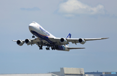 「青が好き」 NCA 747-8KZF JA16KZ 飛行