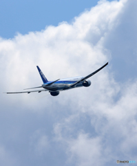 「青色」 ANA 777-381 JA782A 飛ぶ