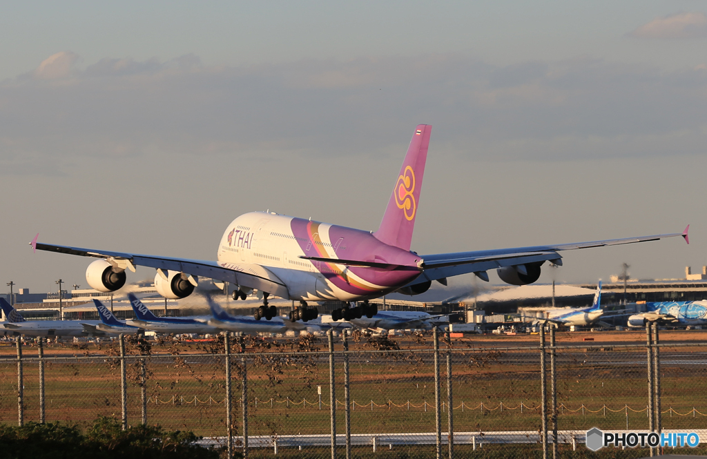 「良い空～」Thai A380-841 HS-TUB  Landing