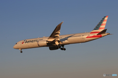「すかい」 American 787-9 N824AN Landing