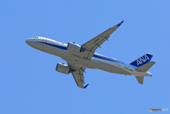  「晴れ」 ANA A320-271N neo JA211A 飛ぶ