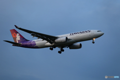 「晴れ」 Hawaian A330-243 N378HA 来た～