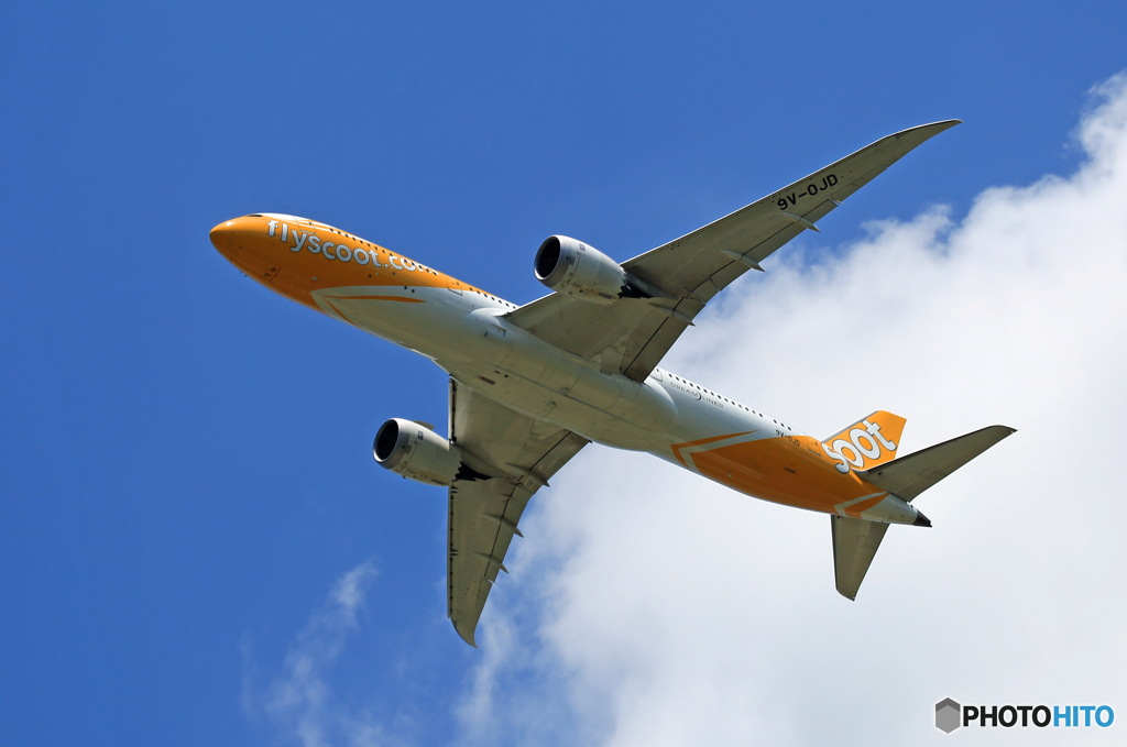 「空色」 scoot 787-9 9V-OTD 飛行