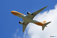 「空色」 scoot 787-9 9V-OTD 飛行