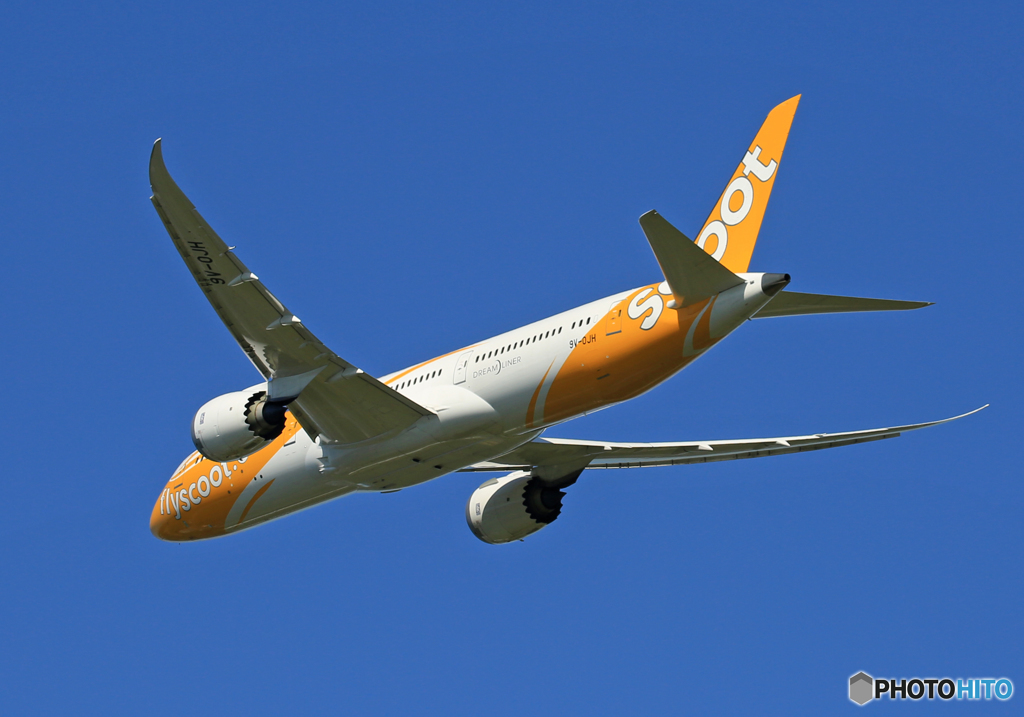 「すかい」 scoot 787-8 9V-OJH 飛び立ち