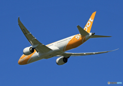 「すかい」 scoot 787-8 9V-OJH 飛び立ち