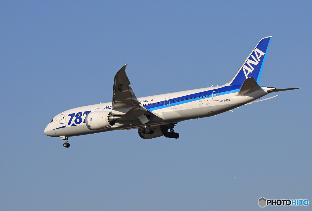 「すかい」 ANA 787-8 JA806A 着陸