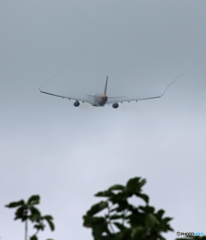 「曇り」 Air Calin A330-202 Takeoff  ベイパー