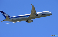 「青色が好き」 ANA 787-9 JA893A 飛ぶ