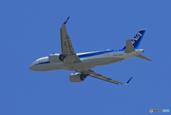 「すかい」 ANA A320-271N neo JA211A飛び立ち