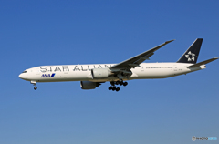 「スカイ」 ANA STAR 777-381 JA731A 着陸します