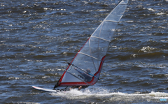 「あおいうみ」気持ち良い風ですね 「あおいうみ」気持ち良い風ですね