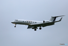 「☁」プライベート金鹿ガルフストリームG500 B-8132着陸
