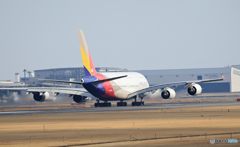 「真青の空」 ASIANA A380-841 HL7625 Takeoff  