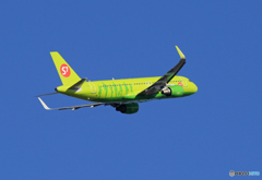 「青色」 S7 A320-214 VP-VOL 飛び立ちです