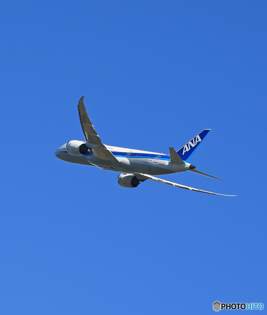 ☀「青い空」が一番 ANA 787-8 JA834A Takeoff