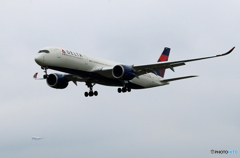 「曇り」DELTA A350-941 N506DN  Landing