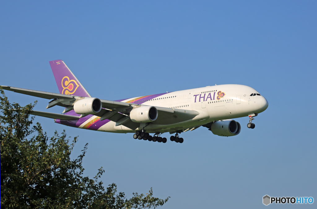 「すかい」 Thai A380-841 HS-TUD 着陸します