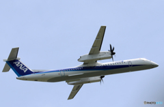 「あおぞら」 ANA DHC-8-400 JA850A 飛ぶ