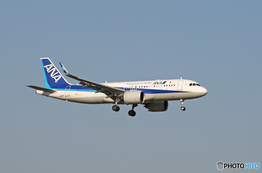 「SKY」 ANA A320neo JA211A Landing