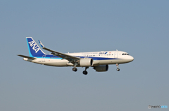 「SKY」 ANA A320neo JA211A Landing