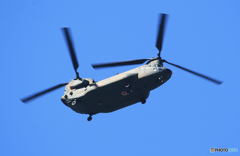 「青が好き」チヌーク　CH-47J  飛来