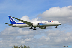 ☀「青い空」が一番 ANA 787-9 JA896A 通過
