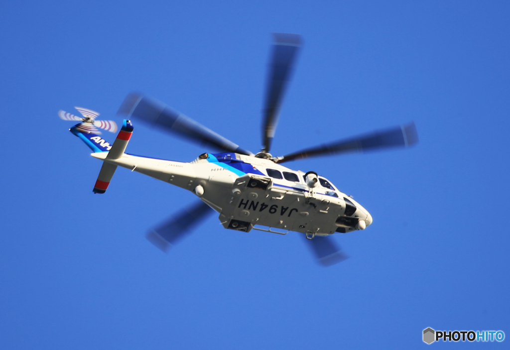 「群青色」ANA オールニッポン　旋回中