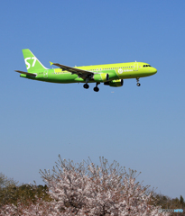 「さくら」 S7航空 A320-214 VQ-BRC 到着です