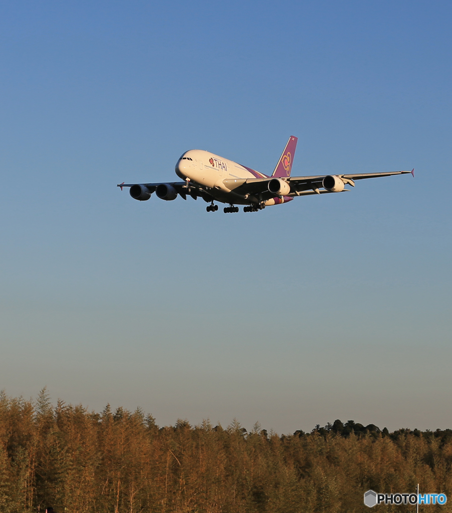 「真青の空」THAI A380-841 HS-TUB 着陸です