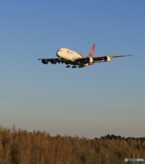「真青の空」THAI A380-841 HS-TUB 着陸です