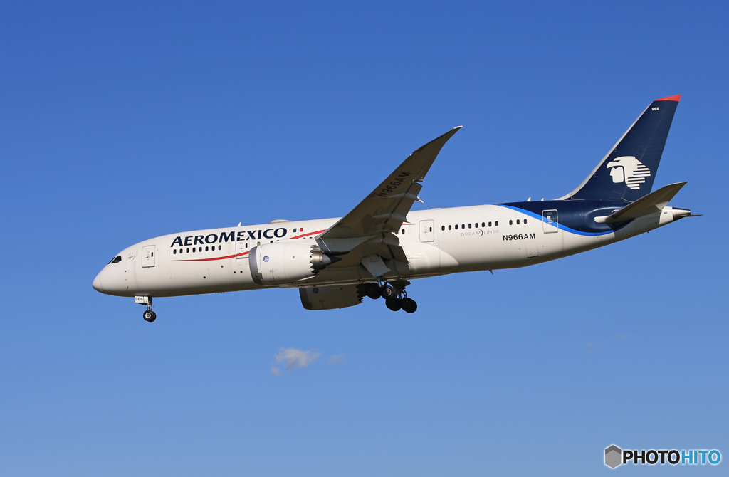 「青が大好き」AEROMEXICO 787-8 N966AM