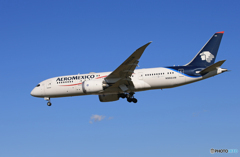 「青が大好き」AEROMEXICO 787-8 N966AM