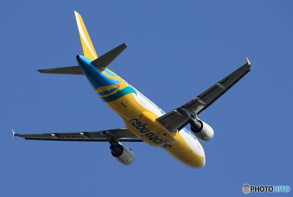 「そらー」 CEBU A320-214 RP-C3267 Takeoff
