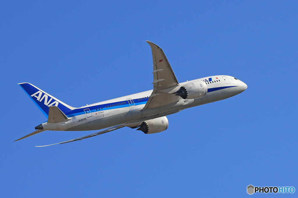 「群青」 ANA 787-8 JA802A Takeoff 