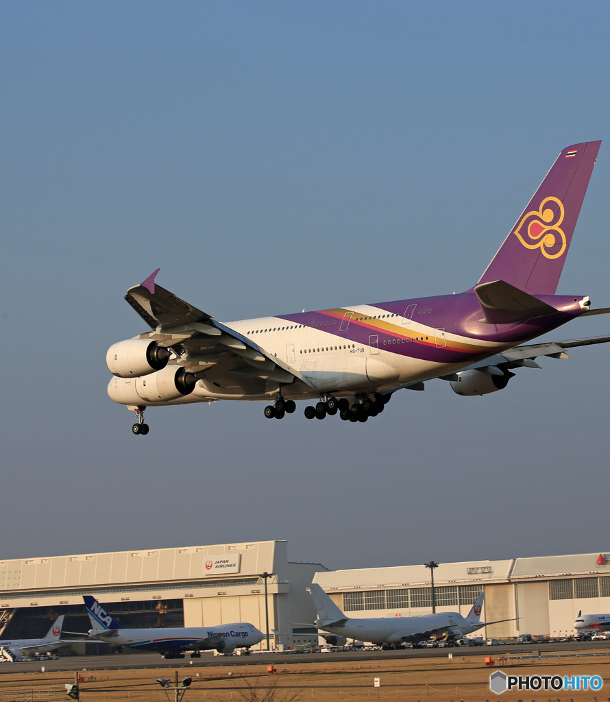 「空色」 THAI A380-841 HS-TUB Landing 