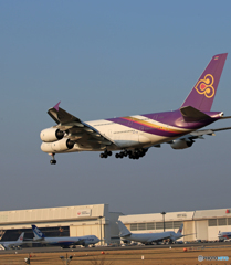 「空色」 THAI A380-841 HS-TUB Landing 