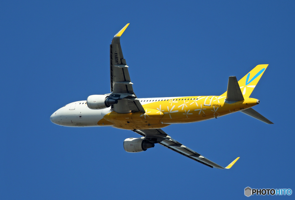 「すかい」 バニラ A320-214 JA08VA 飛行 