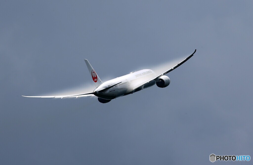 「青色が好き」JAL 787-9 JA867J Takeoff  